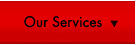OUR SERVICES